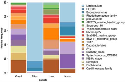 Characterizing the bacterial communities associated with Mediterranean sponges: a metataxonomic analysis